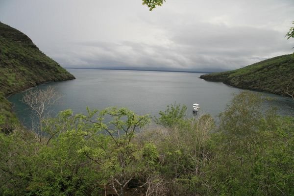 Tagus Cove