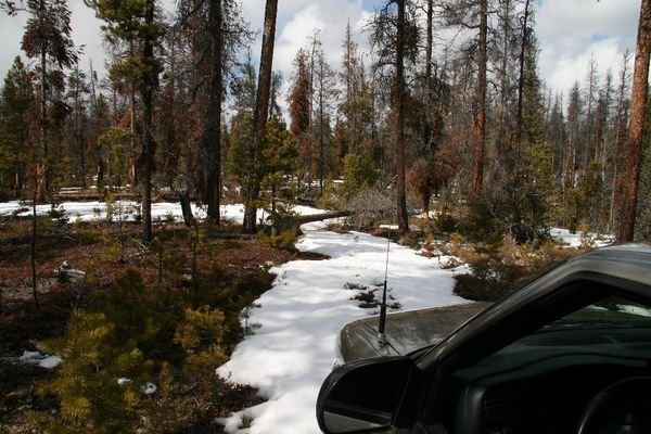 Road in to Cabin