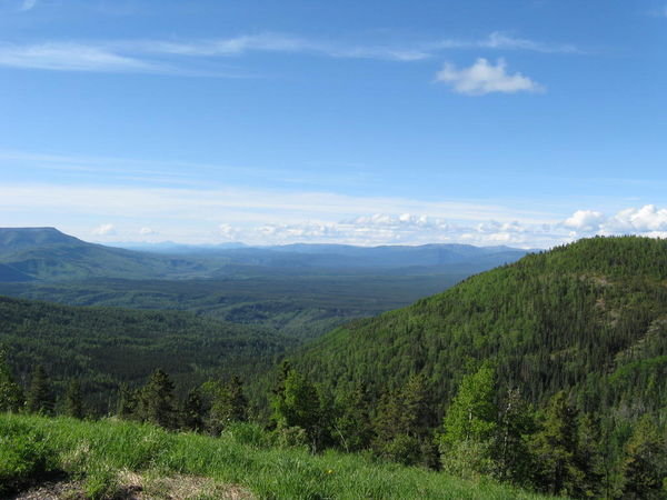 Way up to Summit Pass