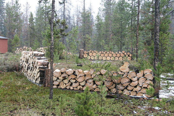 Wood piles