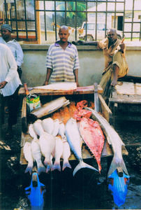 Fish vendor in Stone Town, Zanzibar