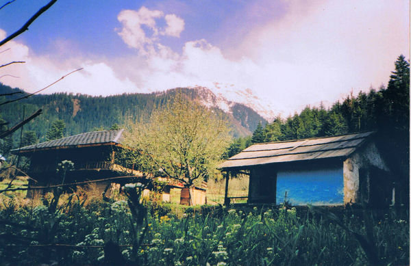Outside Polga, Parvati Valley, Himachal Pradesh