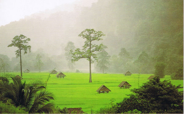 Green and mysterious North Thailand