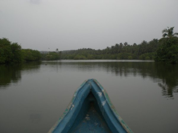 Canoeing at Dawn @ Kannur