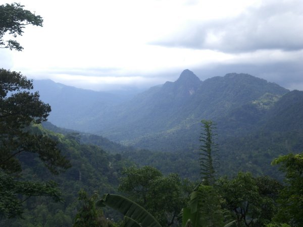 Sri Lanka View