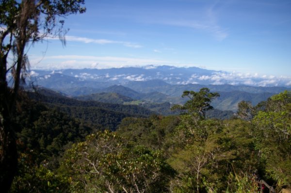 Views from the rainforest foothills of Mt Kinabalu