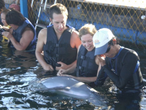 Hilariously co-operative dolphin rolling around in our laps