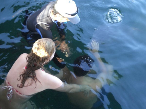 Sanur - Me underwater with dolphin