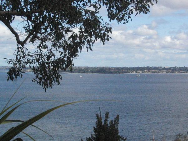 The Swan River from Kings Park