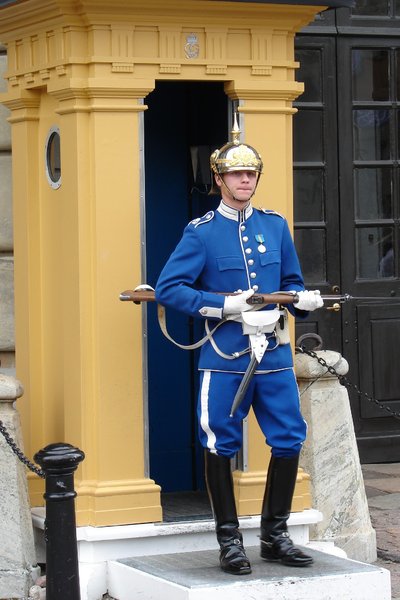 Palace guard