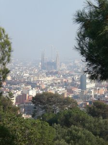 view at the top of the park