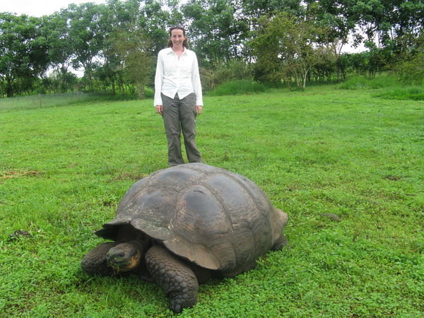 Jackie and a Tortoise in the Santa Cruz Highlands