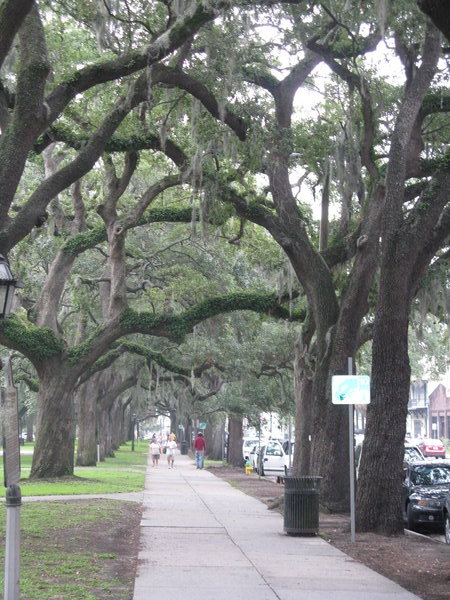 The Streets of Savannah