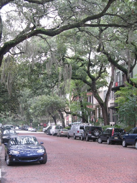 Savannah streetscape