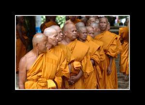 New Buddhist Monks