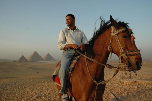 A True Egyptian Horseman