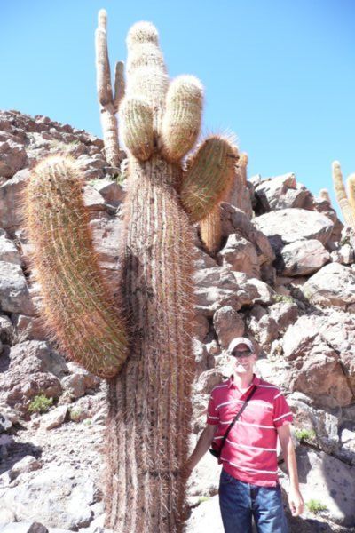 Thats a mighty big cactus