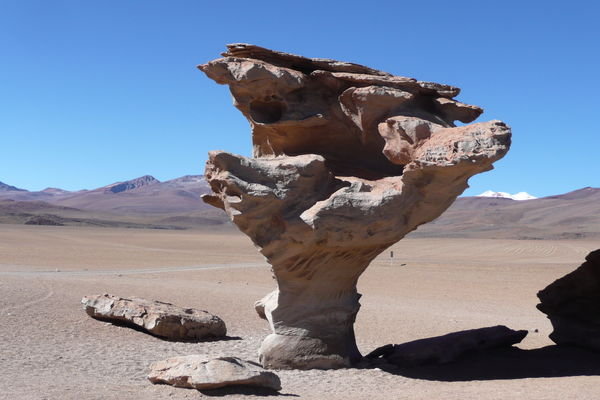 Strange Rock formations - Arbol de Piedra (Rock Tree)