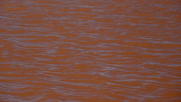 Blue sky reflections on the red water of Laguna Colorada
