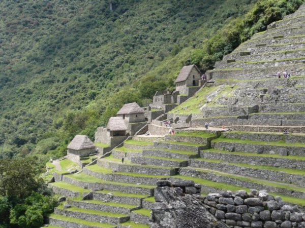 Terracing on agricultural side of Machu Picchu
