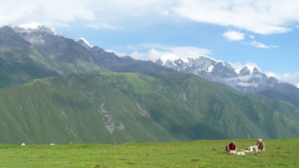 Sheep shearing and mountains above Kangding