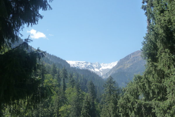 Mountains visible during our short walk near Manali