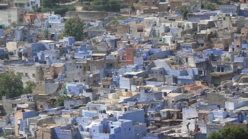 The blue-washed houses of Jodhpur