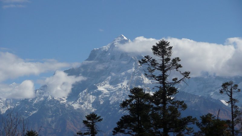 Nanda Devi early in the morning forms a mighty backdrop