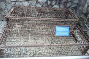 Tiger cages used to hold Viet Cong prisoners