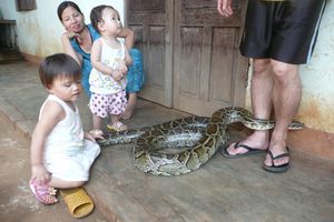 Now let the kids play with the Boa constrictor