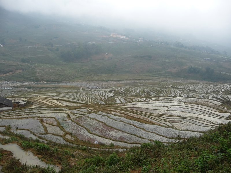 Rice terraces near minority villages in Sapa