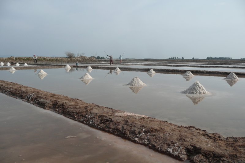 Salt collecting near Kampot, Cambodia