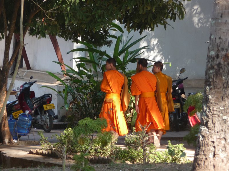 Saffron clad monks wander the streets