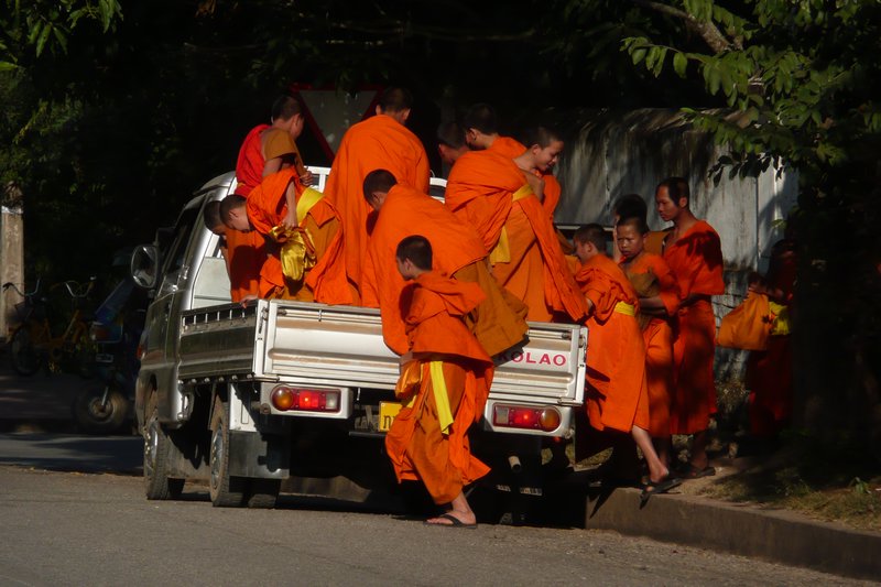 How many monks can you fit in the back of a pickup?