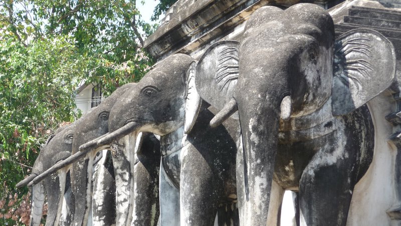 Elephant surround to a stupa