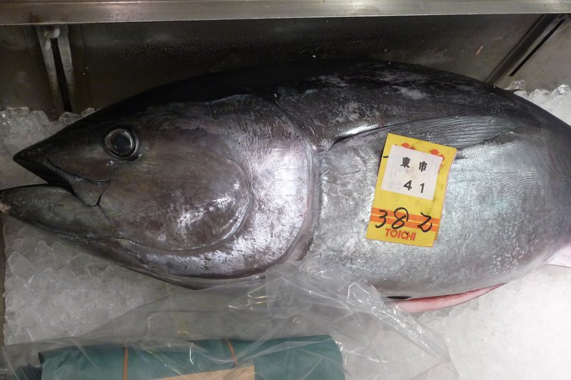 A fresh tuna awaits carving and distribution to the sushi restaurants of Tokyo