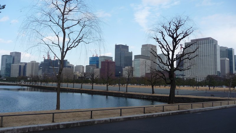 Tokyo Skyline from Imperial Palace Gardens