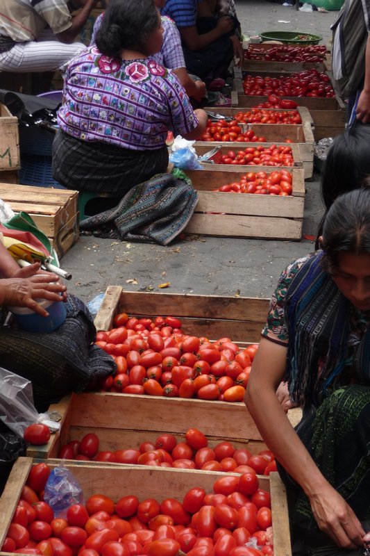 Tomato sellers in Santiago market, Lake Atitlan