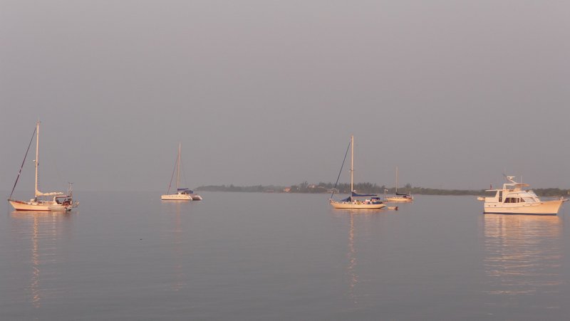 Boats in the bay at Utila