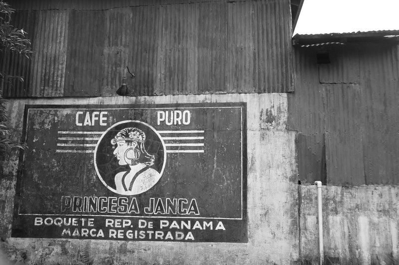 A coffee finca near Boquete in the Panamian highlands