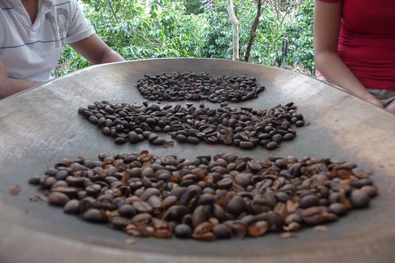 Coffee beans roasted to mild, medium & dark roasts