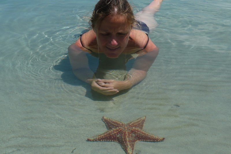 Helen checks out a starfish on Bocas Del Drago