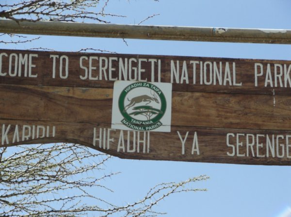 entering Serengeti Parc