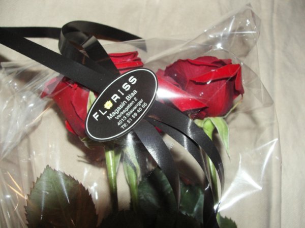 IAESTE offered me roses for our partnership with my company