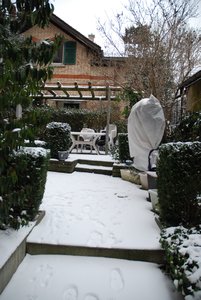 my garden with snow
