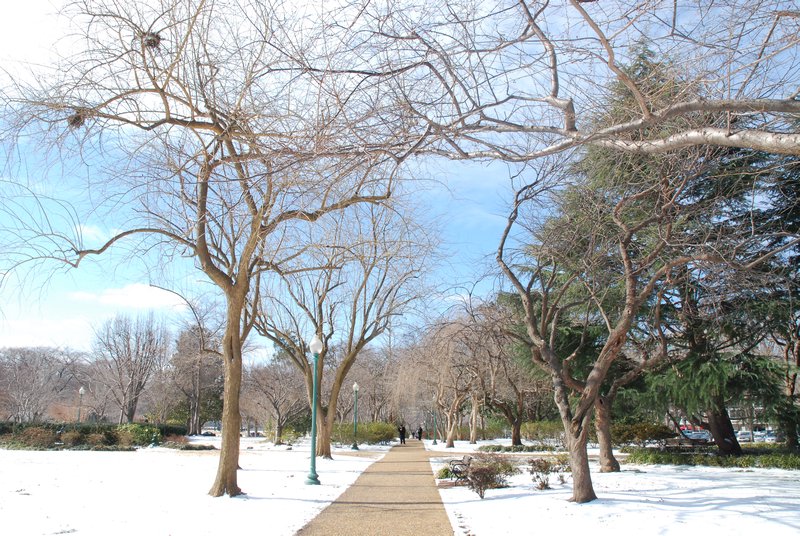 beatiful peaceful snowed park
