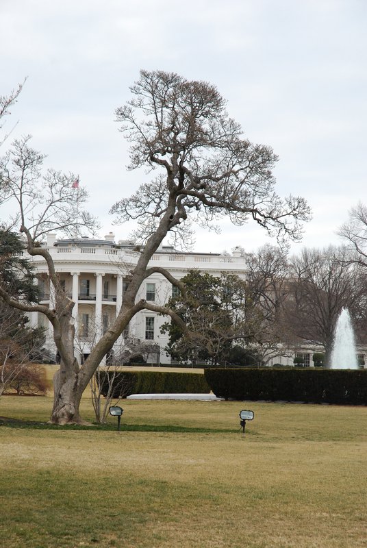 other view on the White House