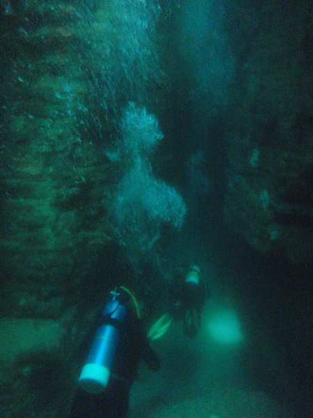Jervis Bay (4) Plongee dans une caverne