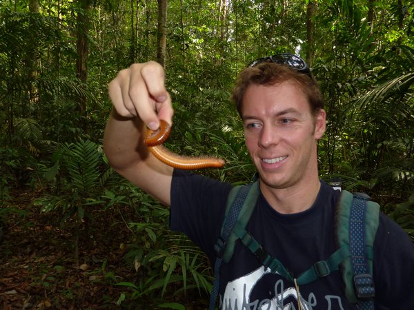 Les insectes de Taman Negara - humm ca l'air bon