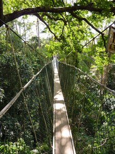 Taman Nagara - canopy (3)